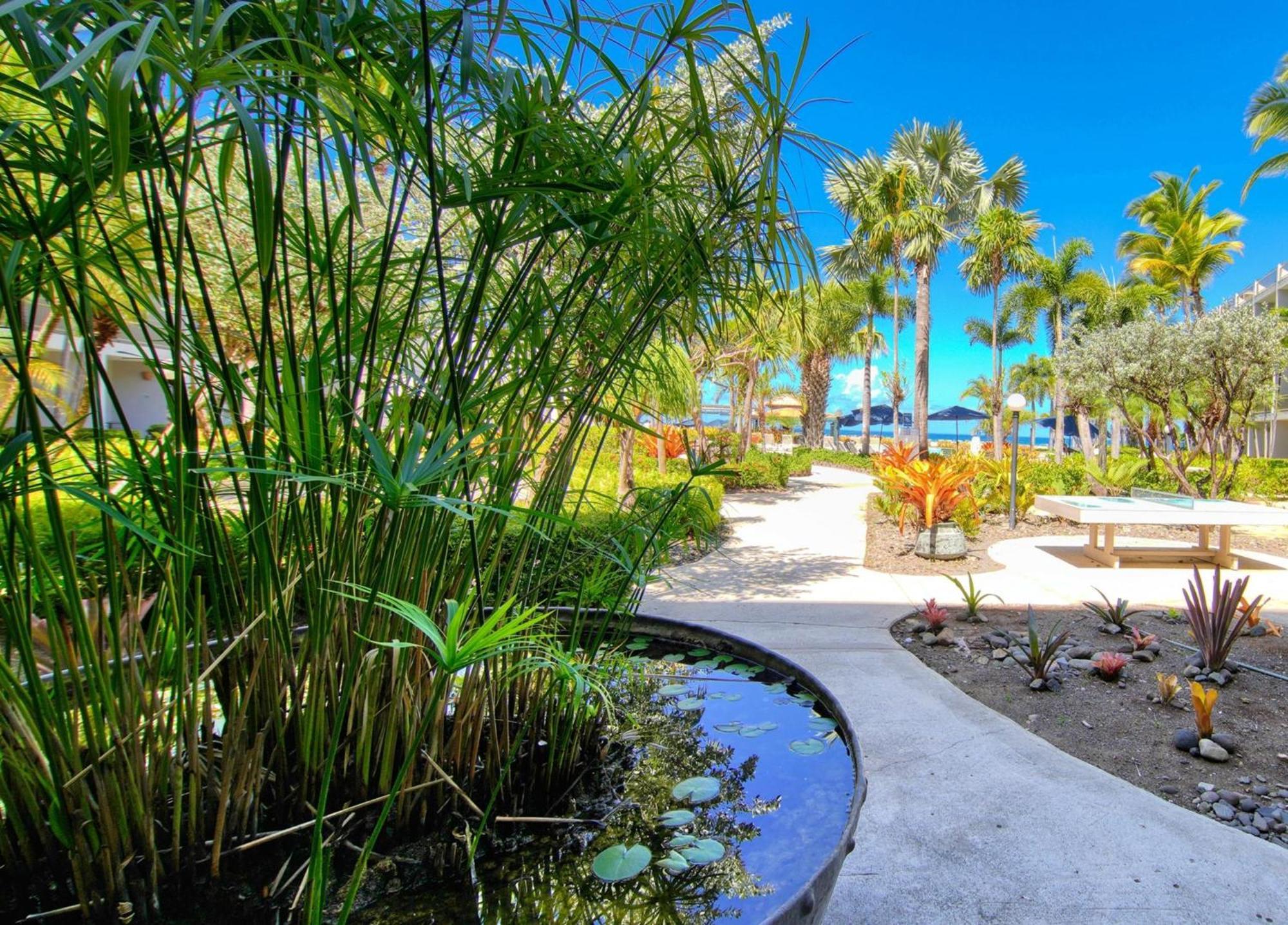 Rincon Of The Seas Grand Caribbean Hotel 외부 사진